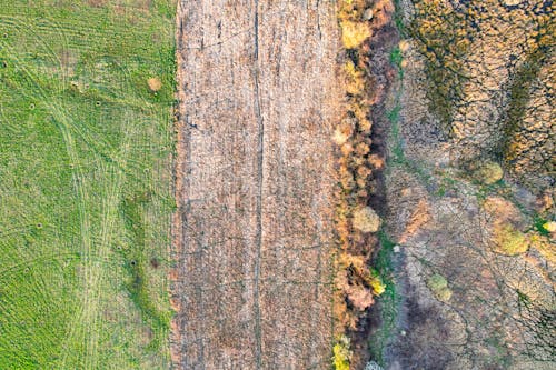 Imagine de stoc gratuită din arbori, câmp, fotografie cu drona