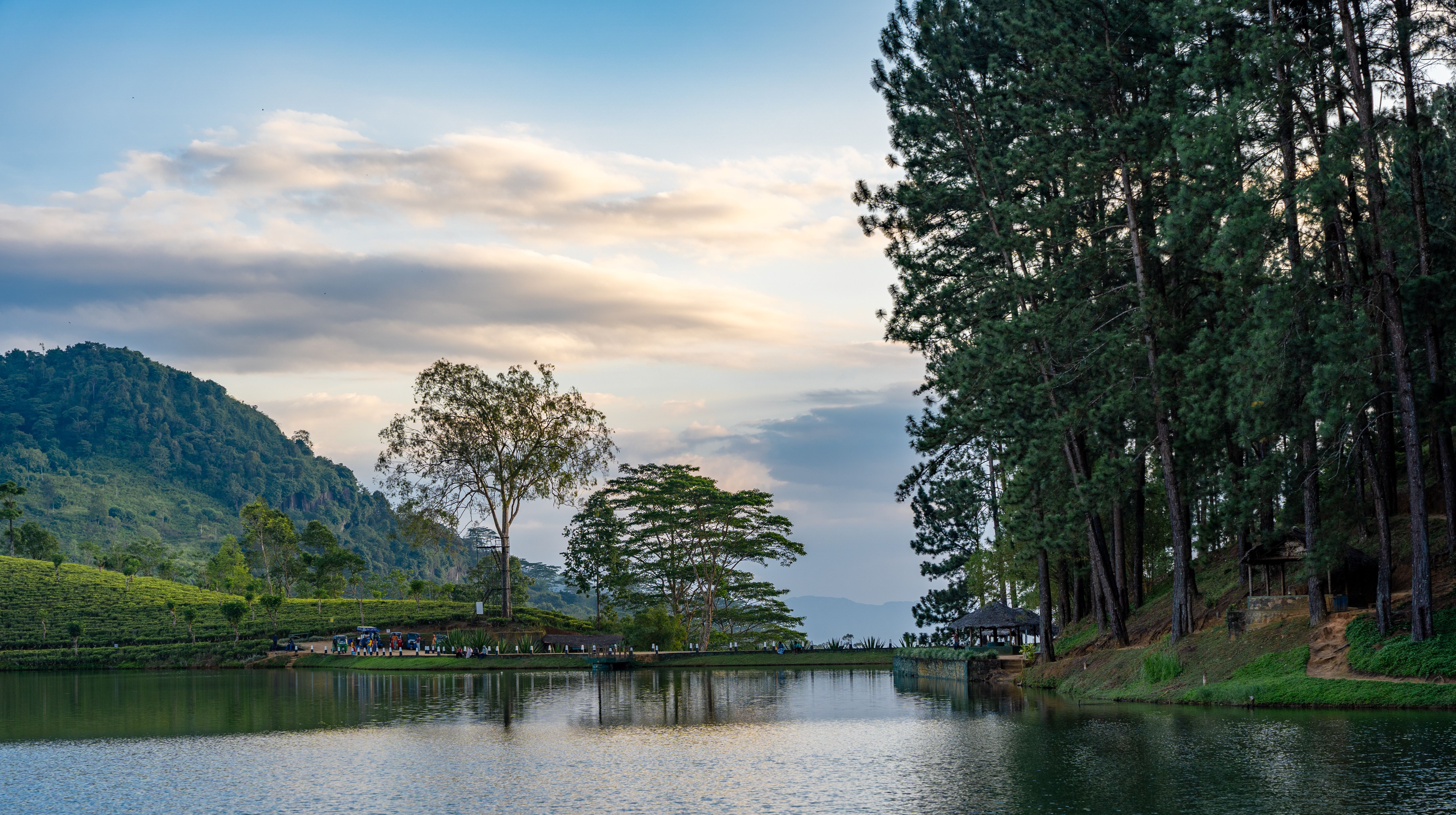 Breathtaking view of Sembuwaththa Lake surrounded by lush trees in Matale, Sri Lanka.