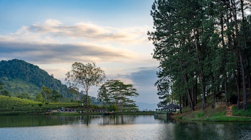 Foto stok gratis bukit, danau, danau sembuwattha