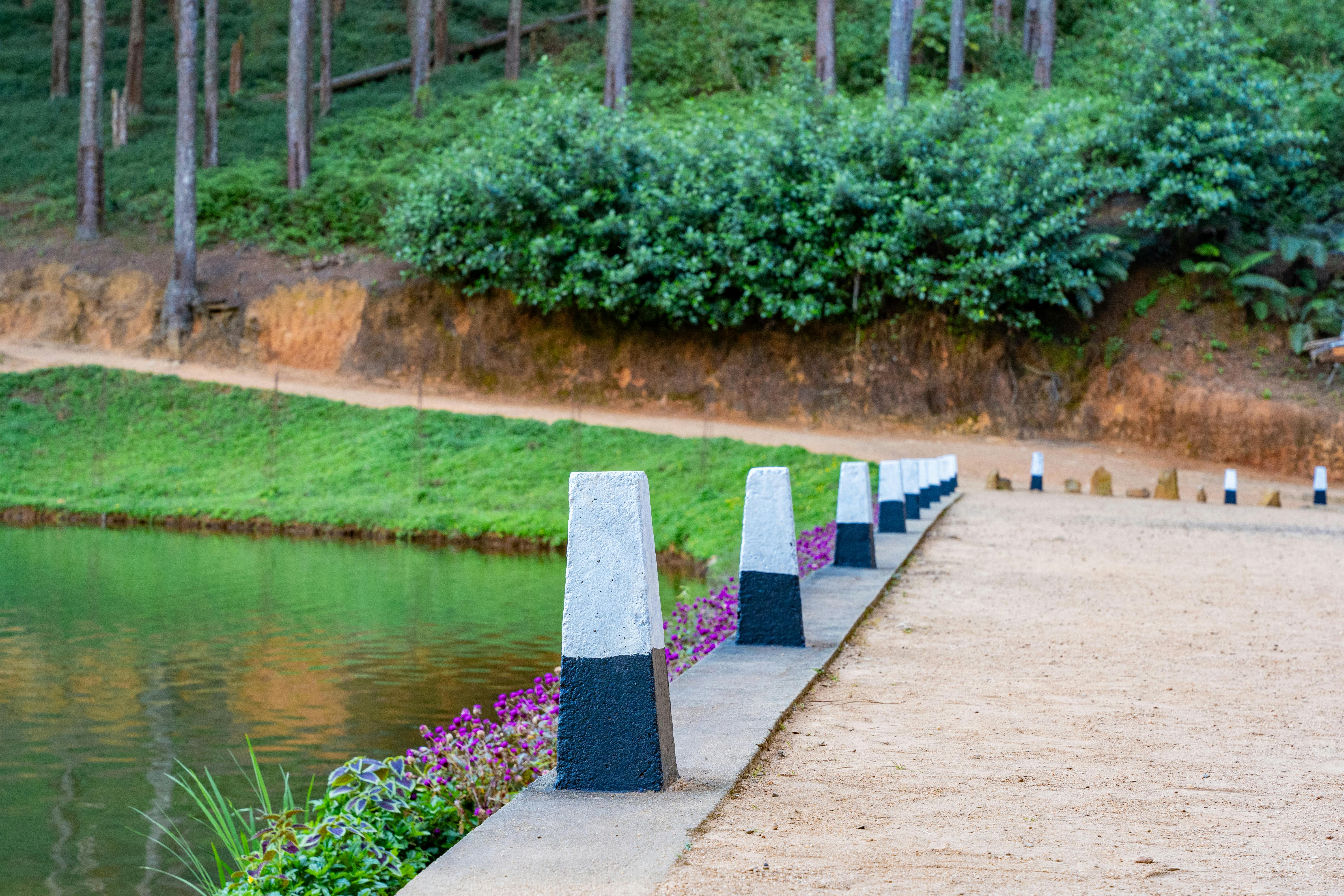 Responsible Tourism Initiatives: Promoting Sustainable Practices and Ecosystem Protection