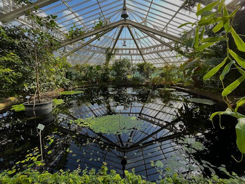 Meise Botanical garden, Belgium