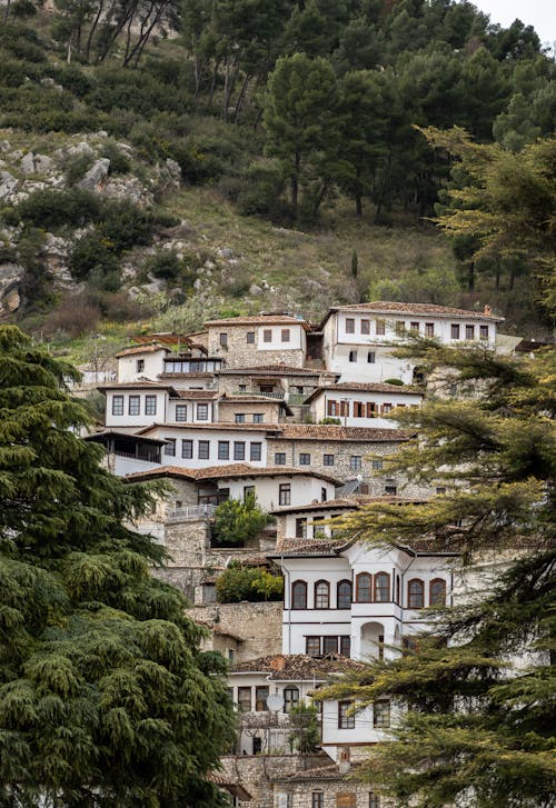 A hillside village with many houses on it