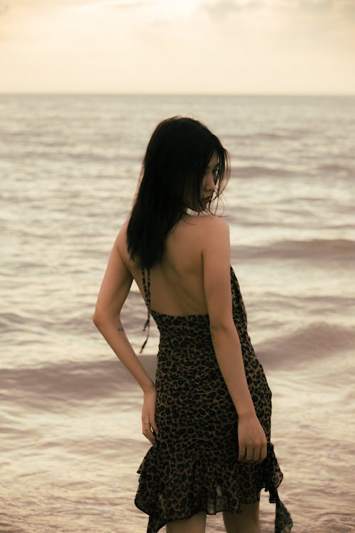 Photos gratuites de bikini, bord de mer, coucher de soleil