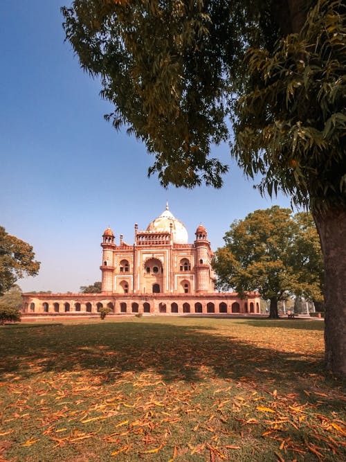 Foto profissional grátis de arquitetura mughal, árvore, Delhi
