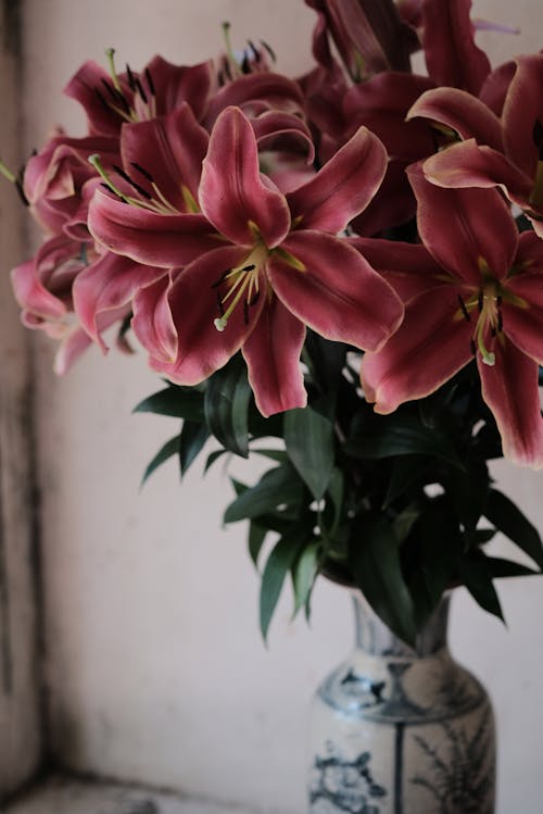 Fotos de stock gratuitas de decoración, florero, flores