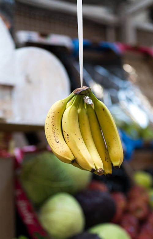 A bunch of bananas hanging from a string