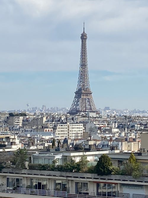 Tour Eiffel & toits de Paris