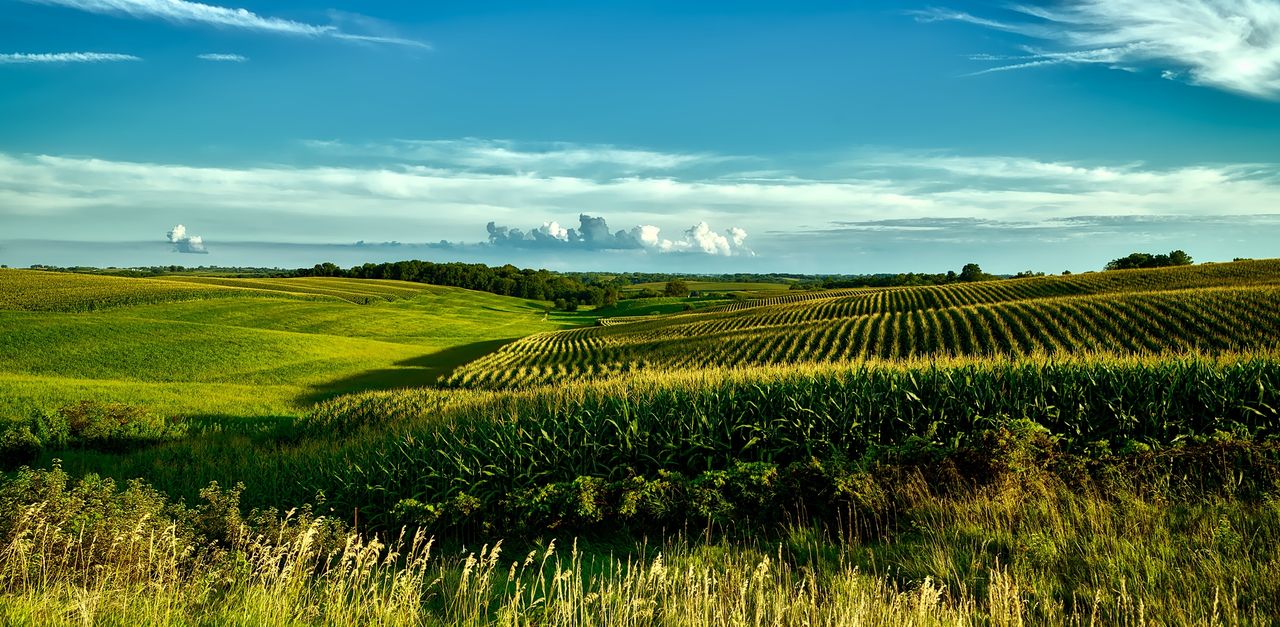 Iowa