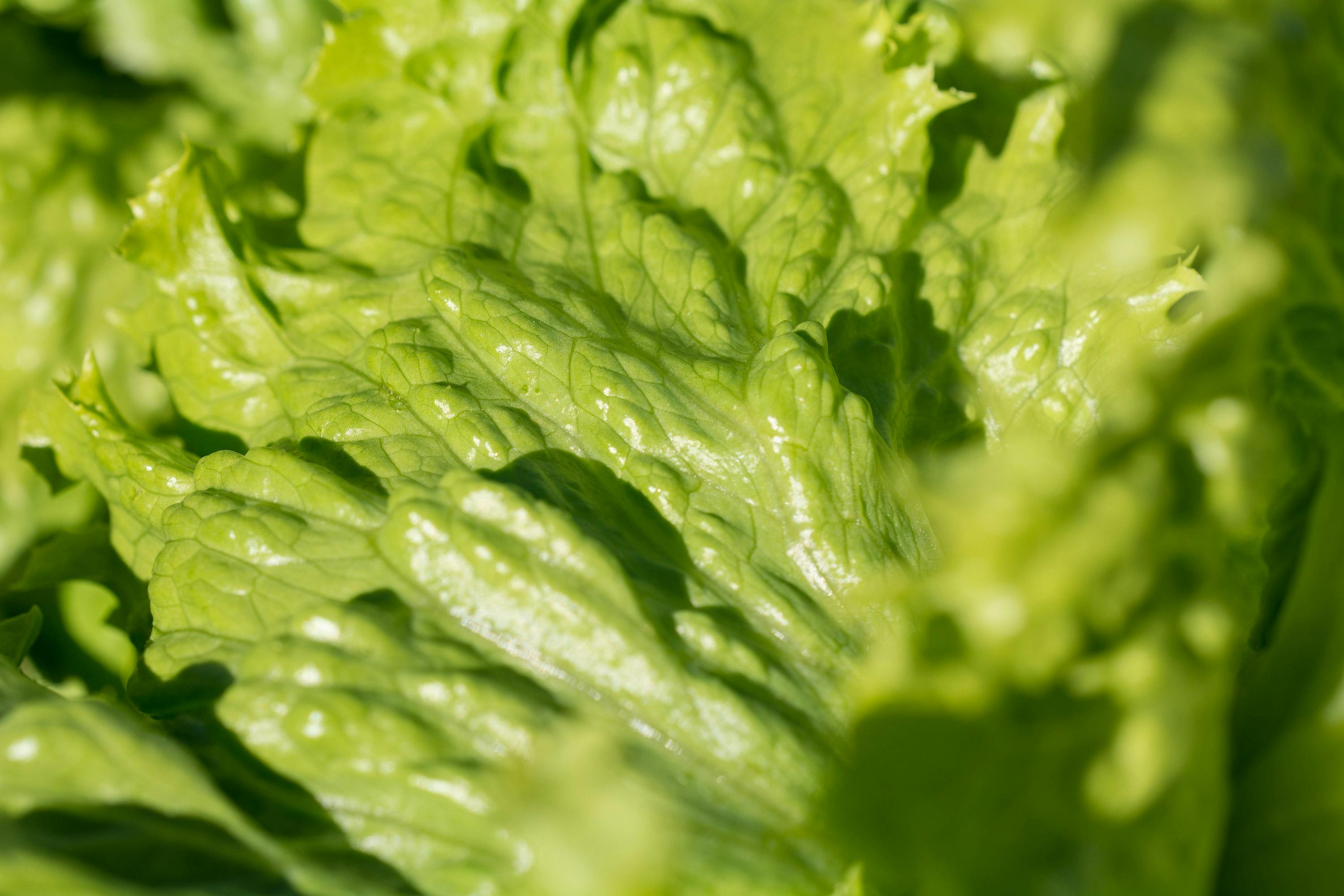 Primer plano de una mano insertando una tarjeta en un cajero automático, destacando la precaución necesaria.