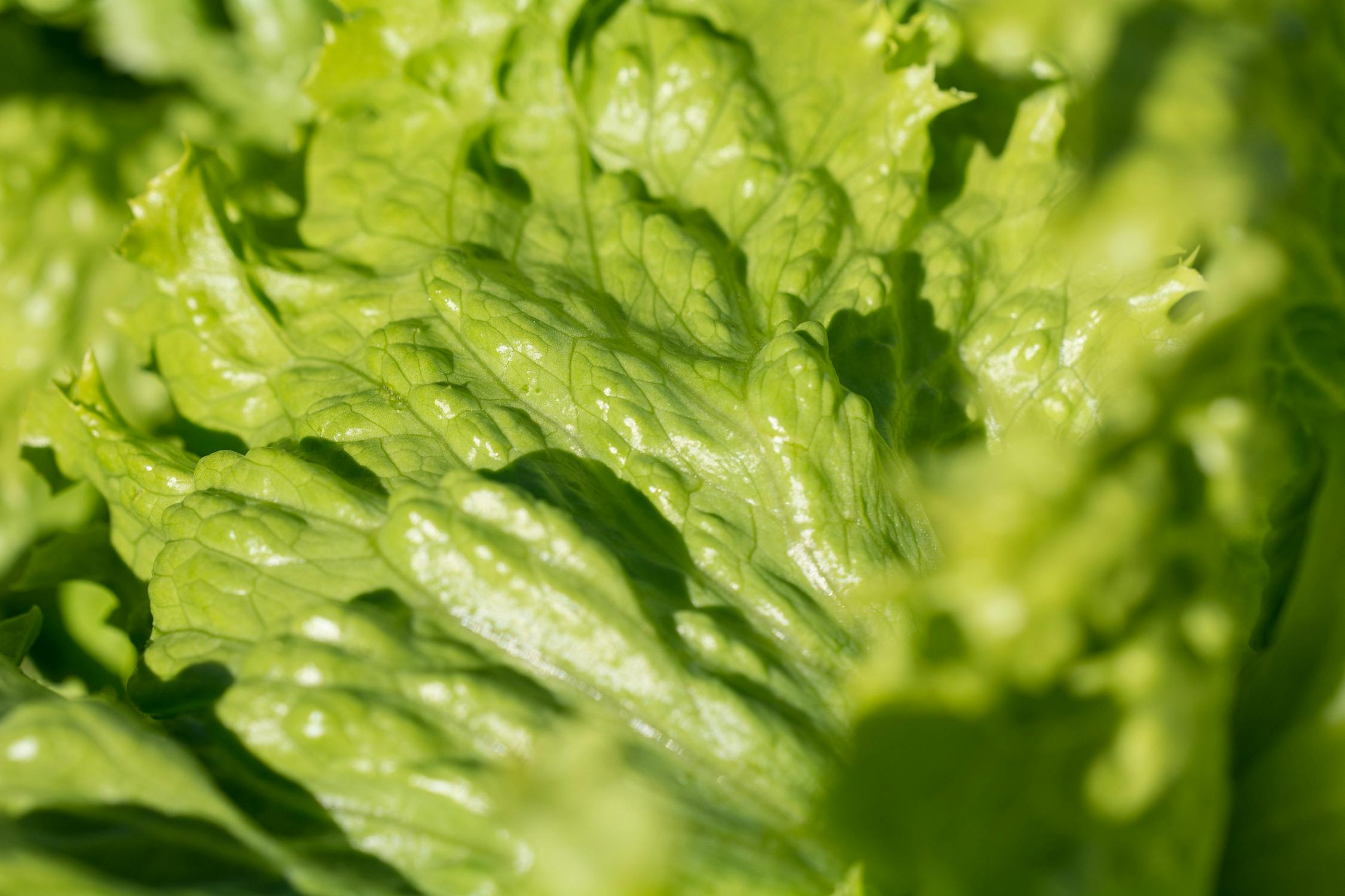 Primer plano de una mano insertando una tarjeta en un cajero automático, destacando la precaución necesaria.