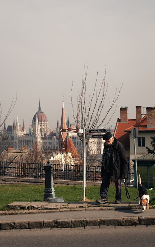 Бесплатное стоковое фото с Администрация, архитектура, Будапешт
