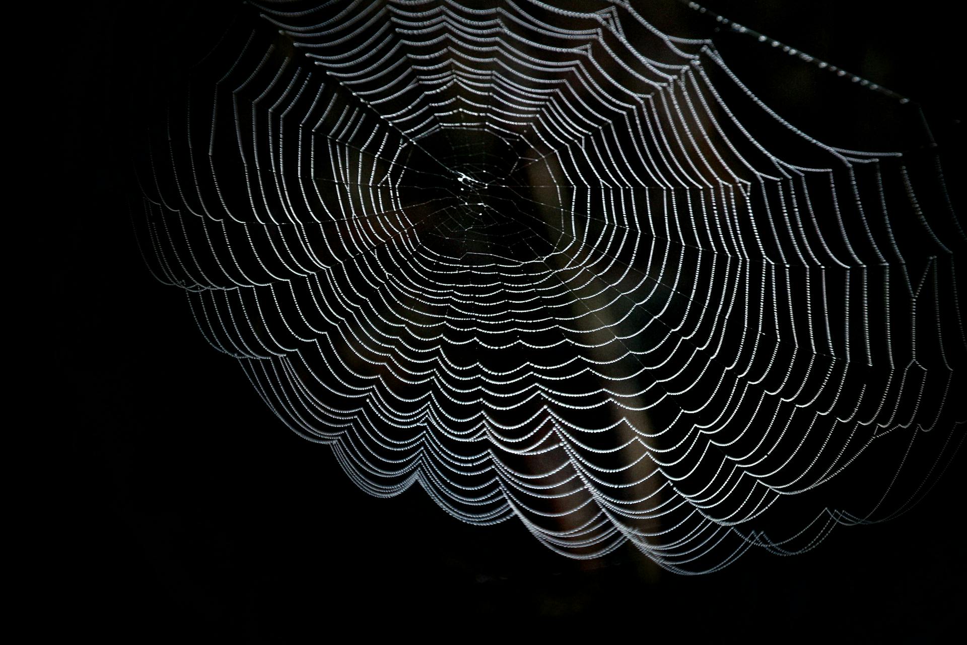 Close-up of a delicate spider web adorned with dewdrops against a dark background.