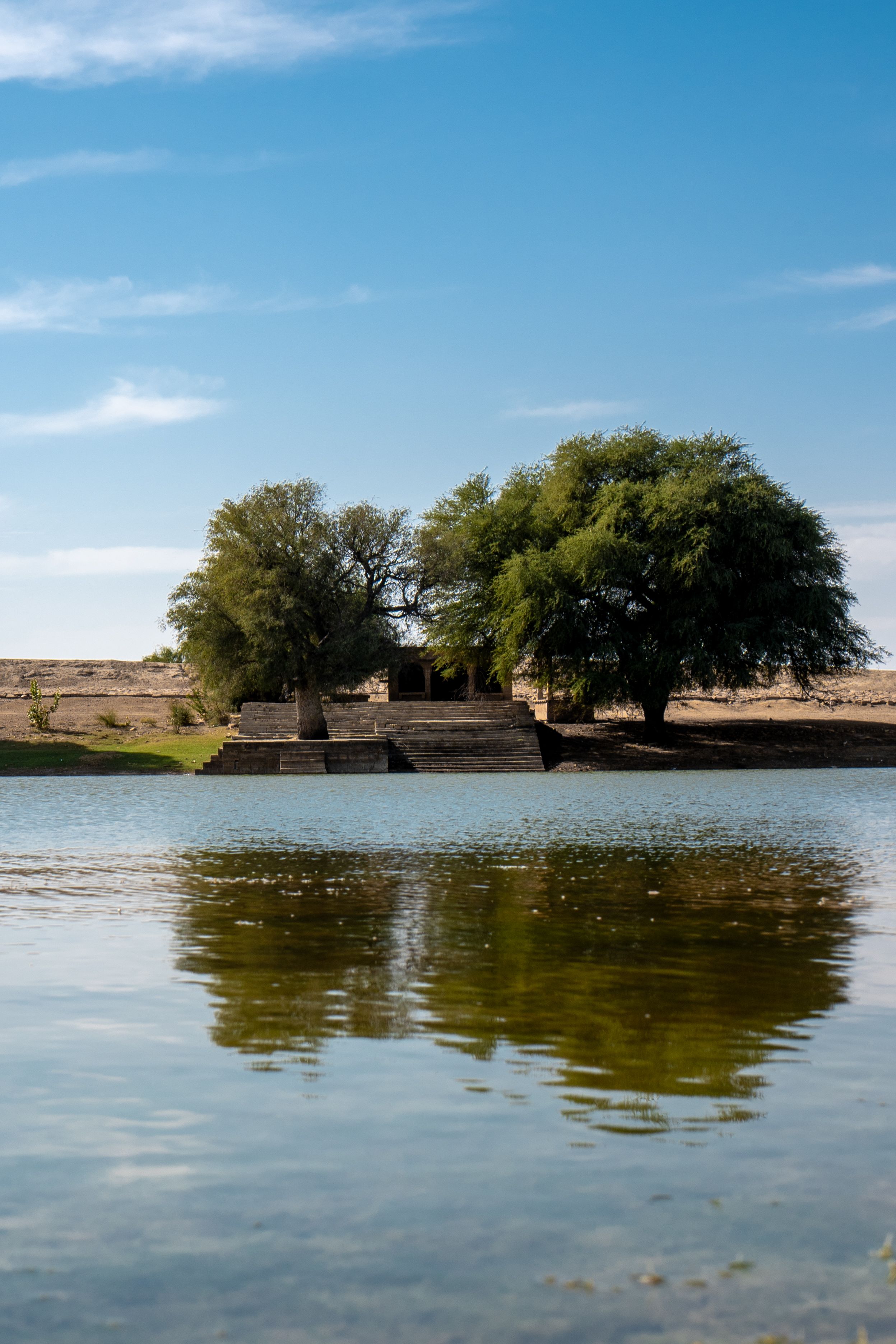 Oasis on Desert · Free Stock Photo