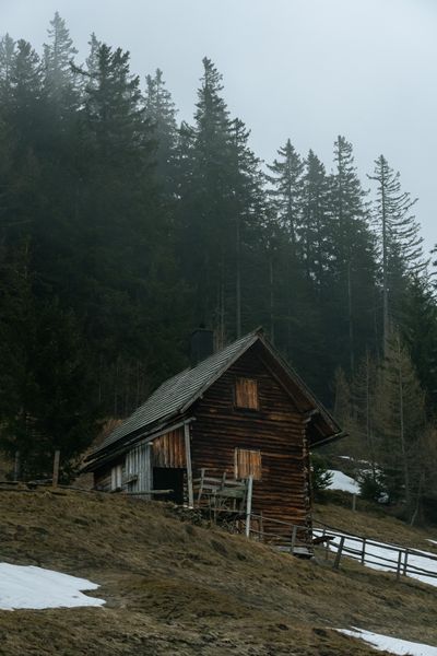 Cover art: timber cabin below a misted pine ridge — photo by Barna Morvai on Pexels