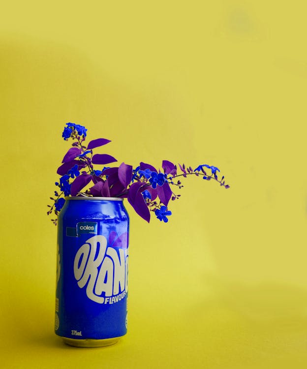 青い飲料缶の青い葉の植物