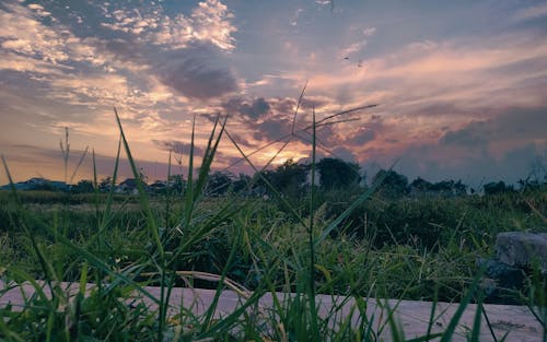 Foto profissional grátis de campo agrícola, Indonésia, lindo pôr do sol