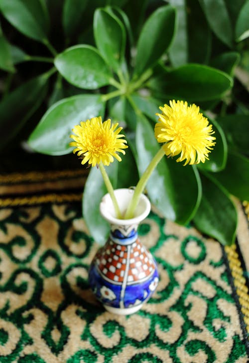 Two dandelions in a vase on a table