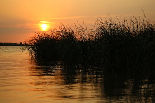 Free stock photo of lakeside, light reflection, offshore