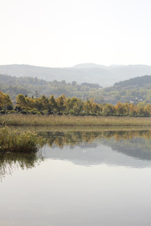 Free stock photo of light green, mountain lake, nature