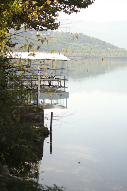 Free stock photo of foliage, mint green, mountain lake