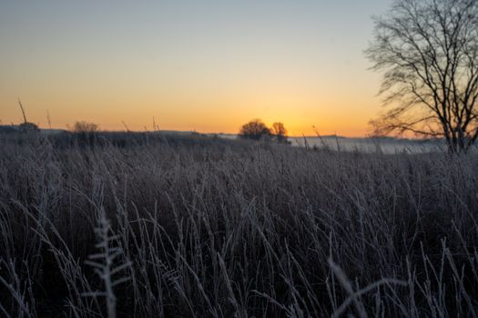 A peaceful frosty sunrise over a rural field in West Newton, MN, featuring frost-covered grass and silhouetted trees.