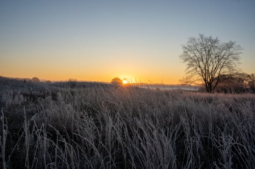 Fotos de stock gratuitas de anochecer, campo, paisaje