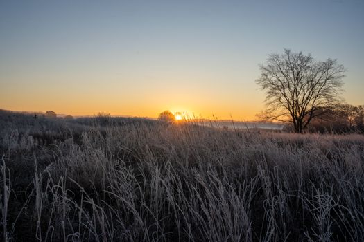 Capture of frosty fields at sunrise in rural West Newton, MN, USA.