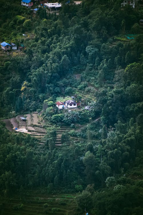 Základová fotografie zdarma na téma 4k tapeta, darjeeling, na kopci