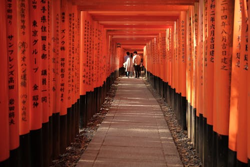A walkway with orange tori gates and people walking