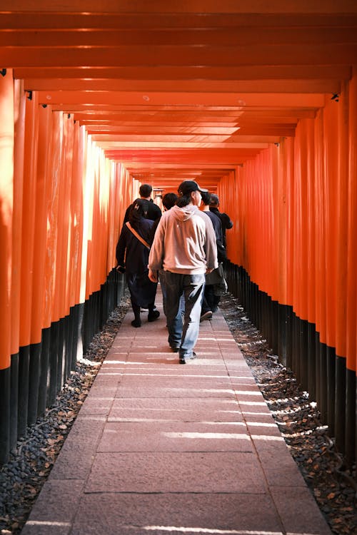 Foto profissional grátis de fushimi inari-taisha, marcos locais, ponto de referência