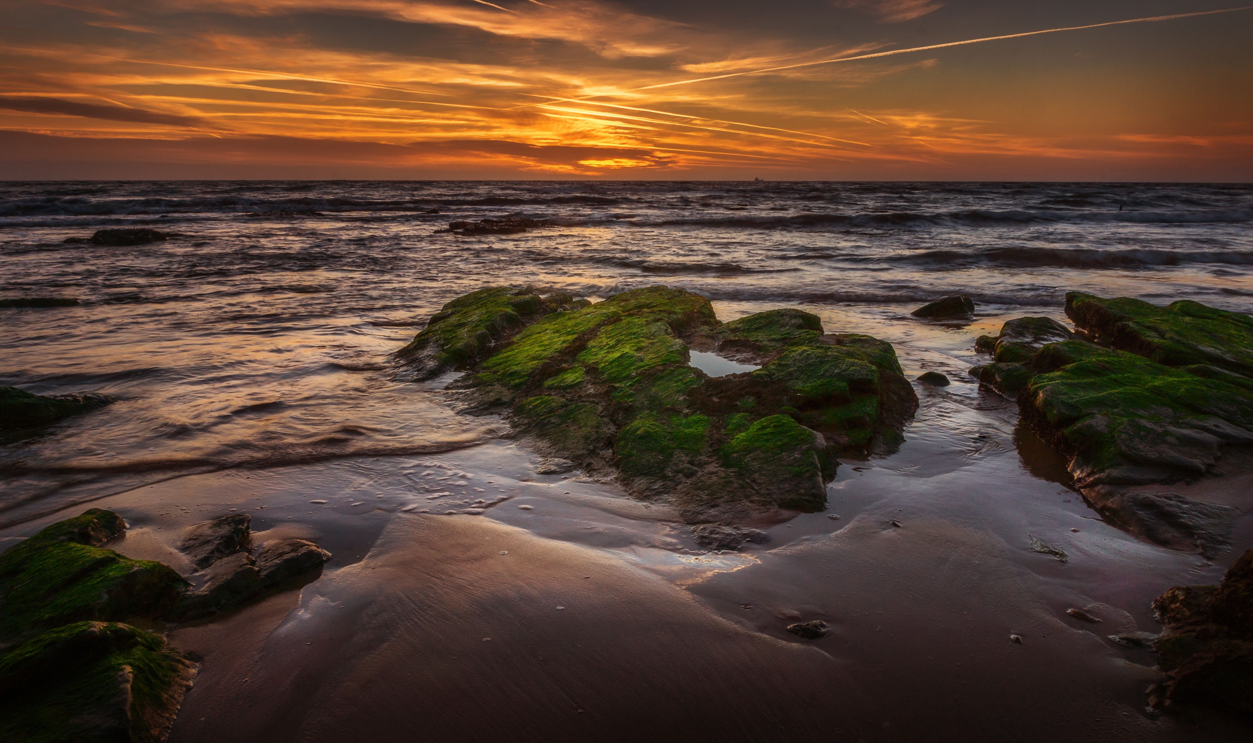 A sunset over the ocean with rocks and moss · Free Stock Photo