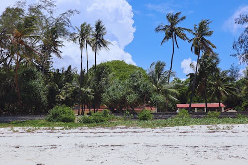 Tropical Real Estate in Mombasa