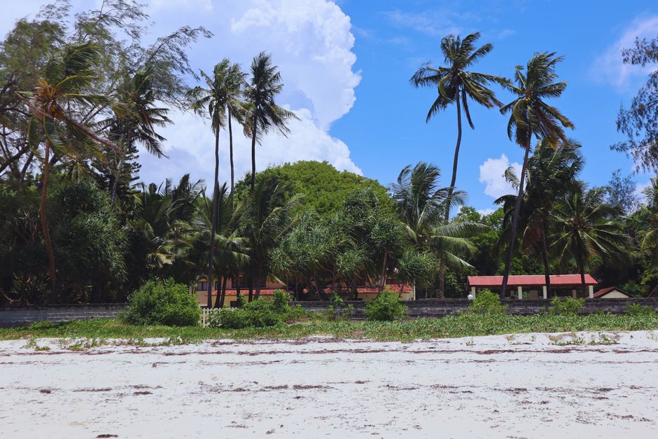 Plage sauvage de Tiwi Beach au Kenya Plage sauvage et préservée de Tiwi Beach bordée de cocotiers et de sable blanc au Kenya, une alternative calme à Diani Beach dans les plages au kenya