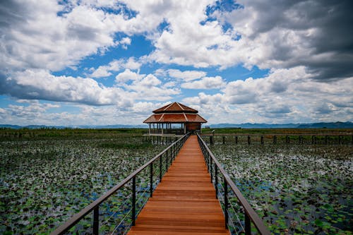 Gratis arkivbilde med anlegg, asia, Asiatisk arkitektur