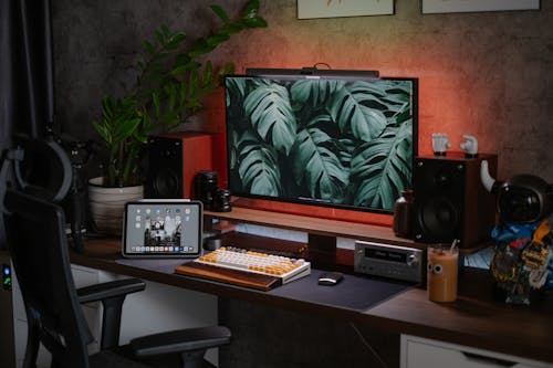 A desk with a computer monitor and a plant
