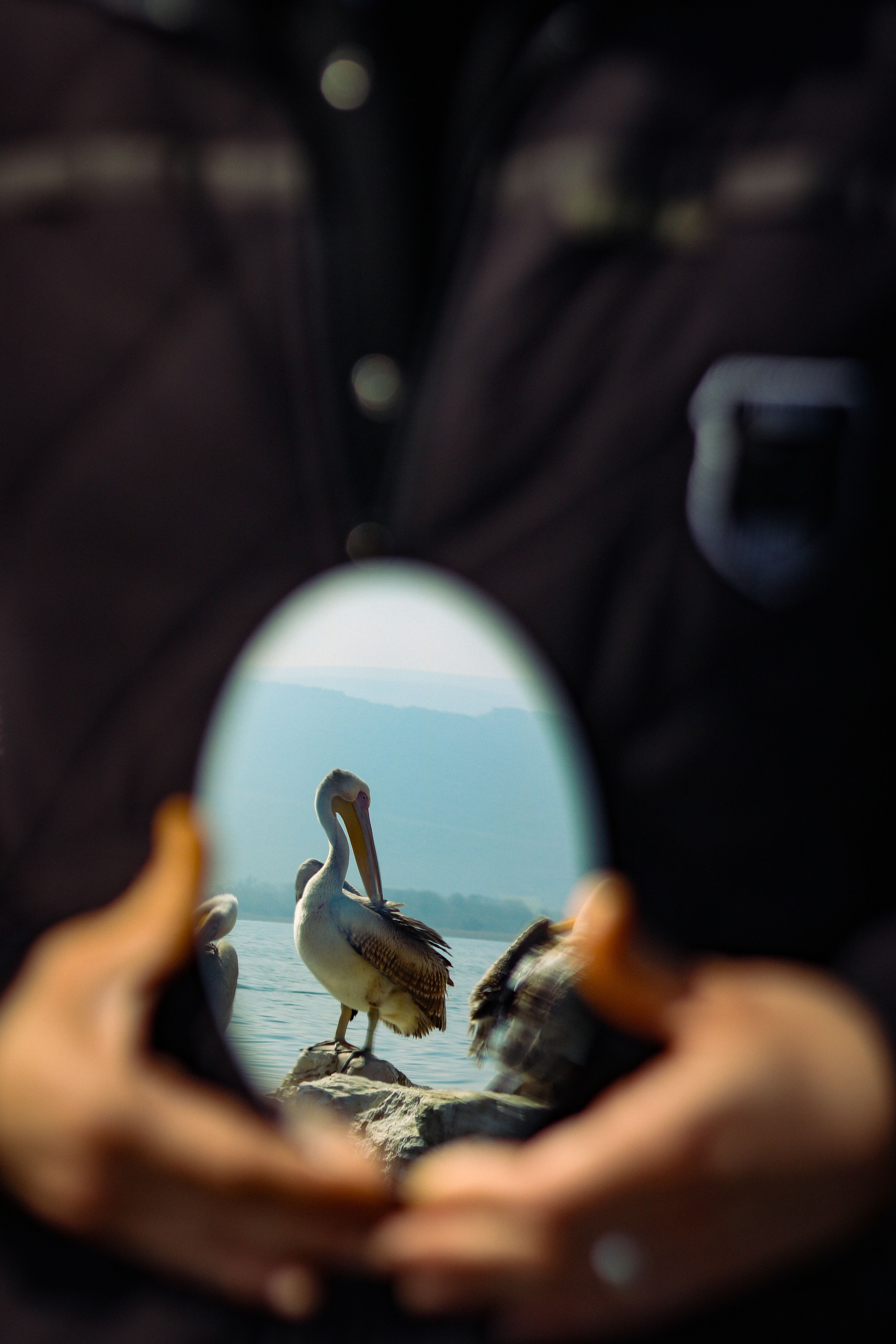 Observation Images Photos, Download The BEST Free Observation Images ...
