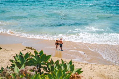 Photos gratuites de bord de mer, couple, debout