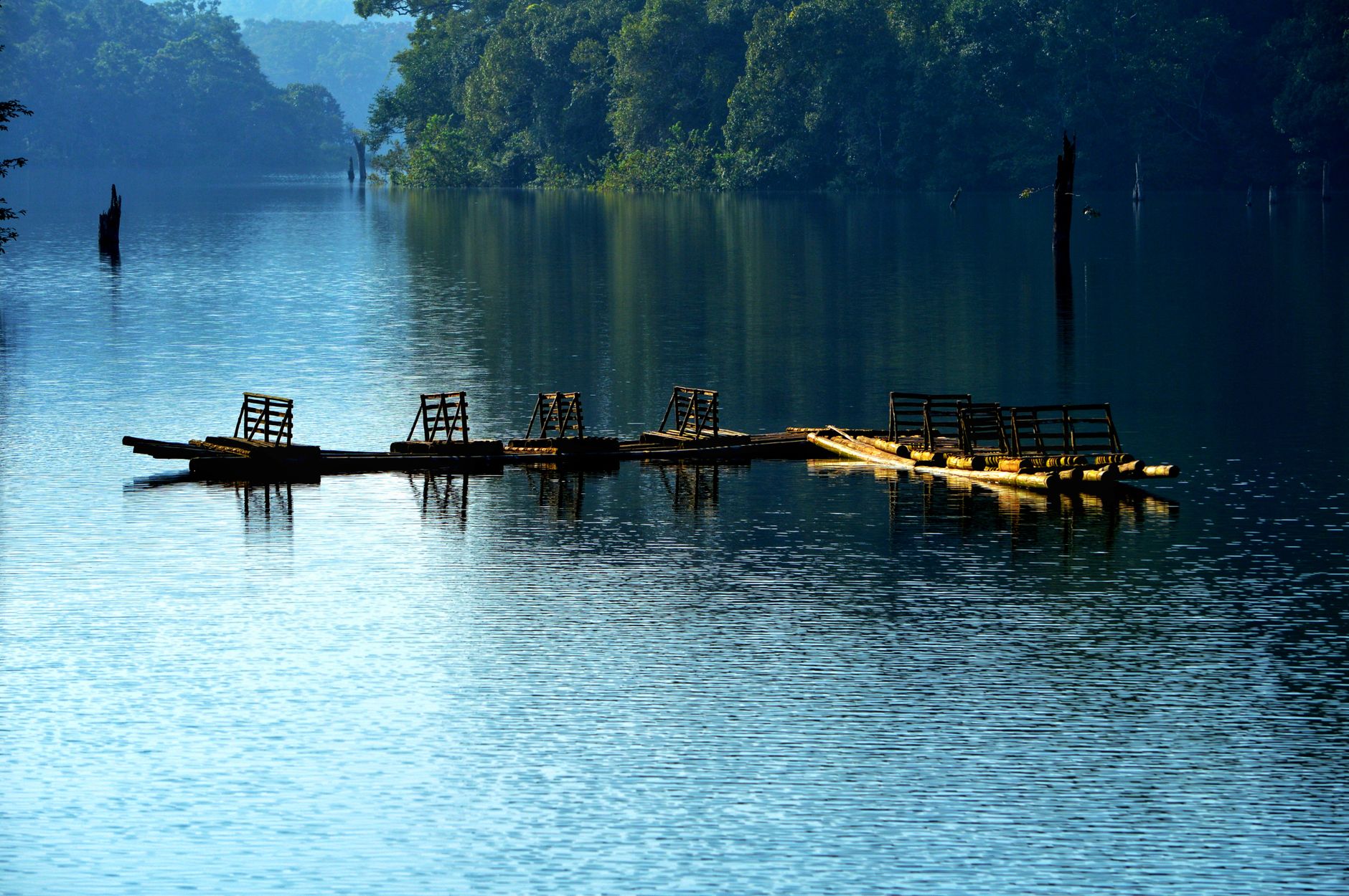 Tranquil scene of wooden rafts reflecting on serene waters surrounded by lush greenery in Periyar, India.