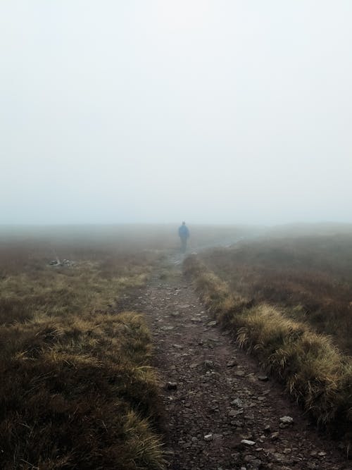 man in the mist of fog in meadows 