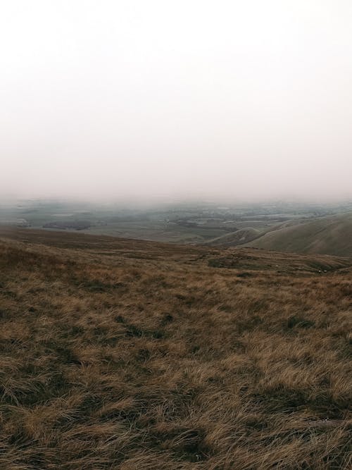 Gratis stockfoto met grasland, landelijk, mist