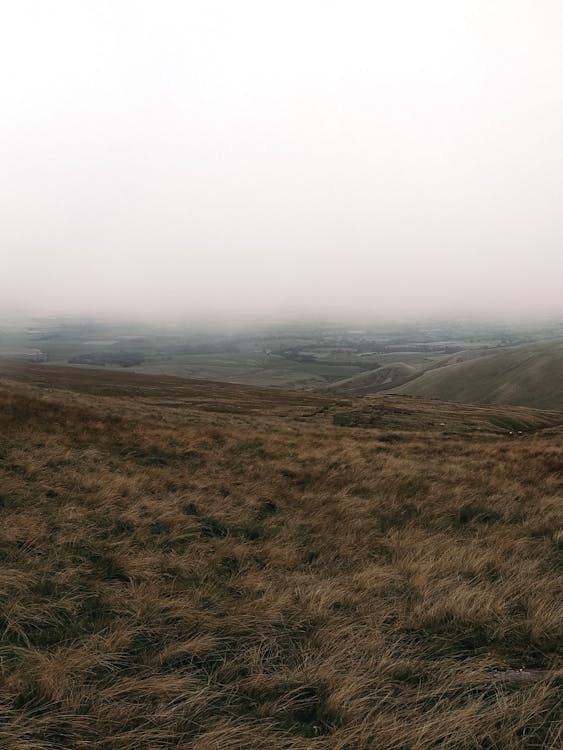 Gratis stockfoto met grasland, landelijk, mist