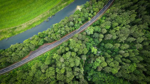 Aerial view of a road in the middle of a forest