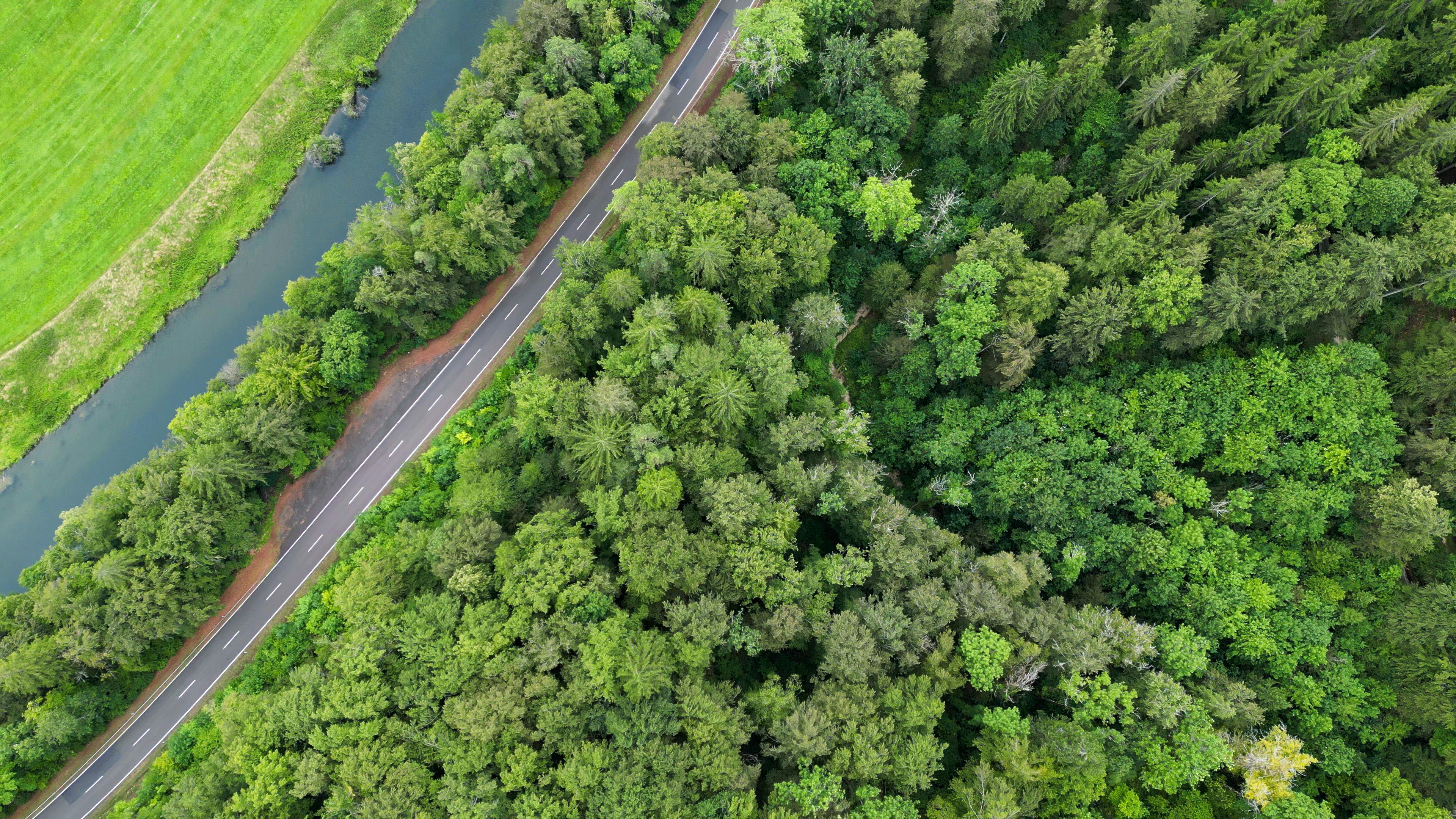 corporate governance esg esg governance examples — Photo by Julius Hildebrandt on Pexels