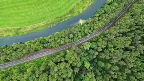 Aerial view of a road running through a forest