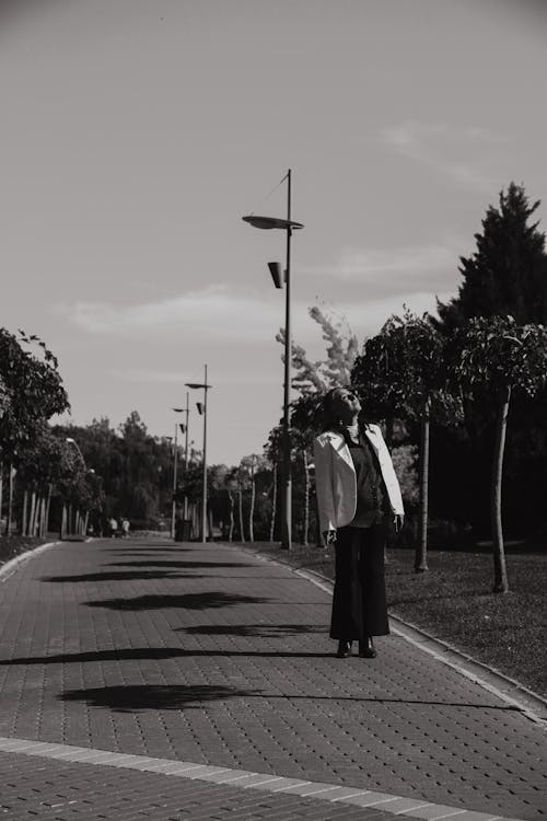 Foto profissional grátis de alameda, árvores, casaco