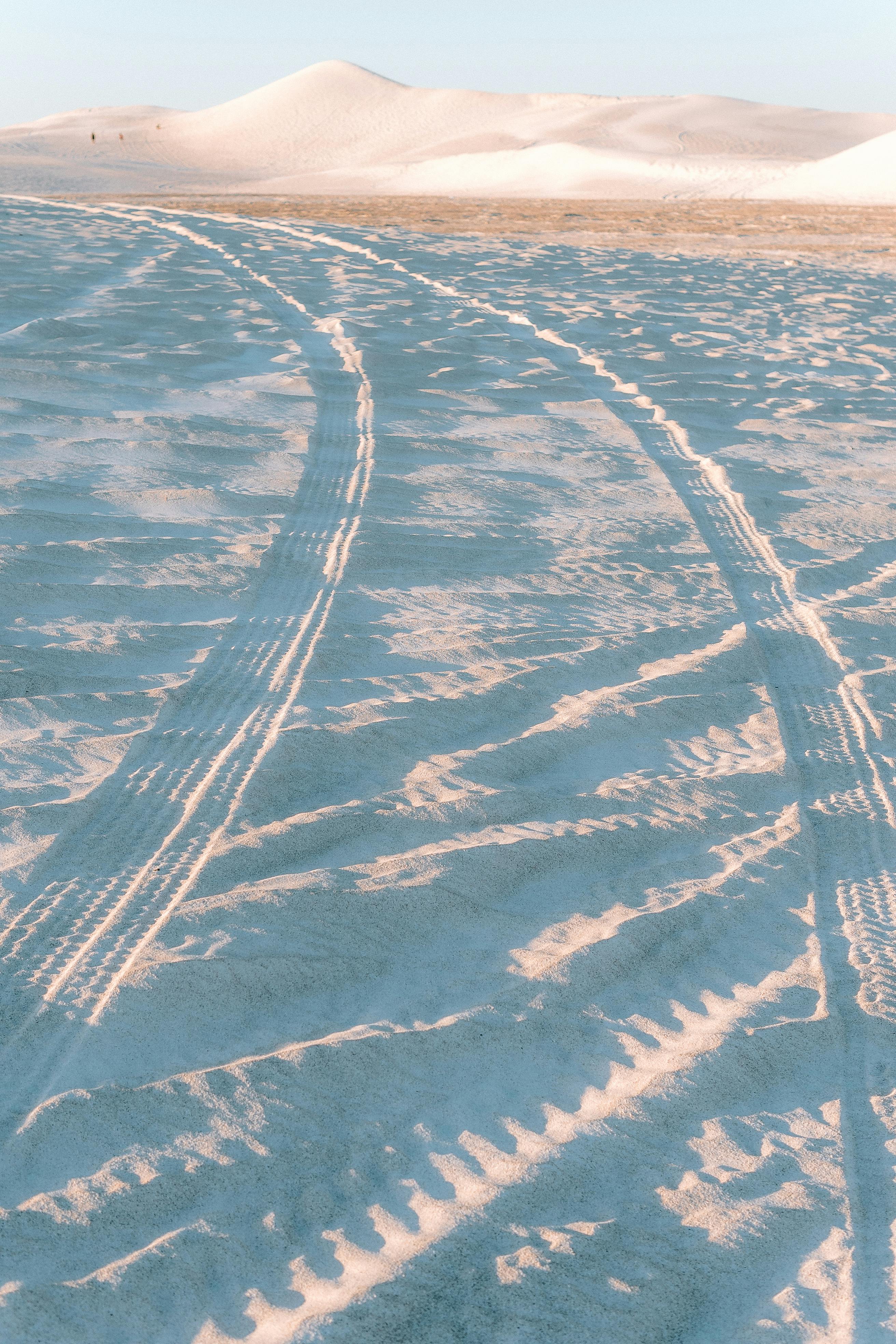 Vehicle tracks stretch across the sandy dunes at Lancelin, Western Australia.
