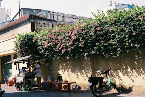 A motorcycle parked next to a building with a green wall