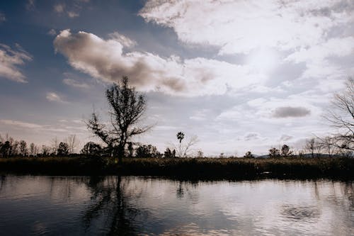 Free A lake with trees and clouds in the sky Stock Photo