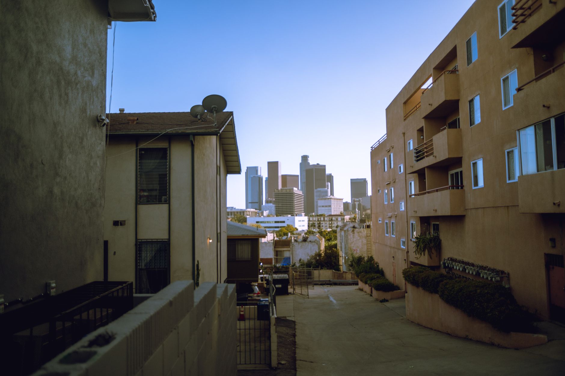 View of downtown skyscrapers from residential area, perfect for urban lifestyle themes.