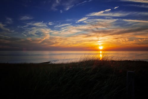 Green Grass Beside Ocean during Golden Hour